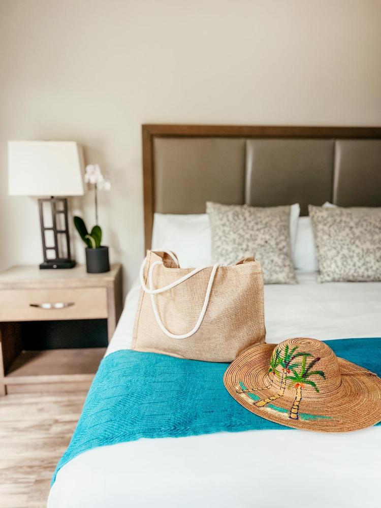 Premier Bay View with One King Bed and Juliet Balcony interior